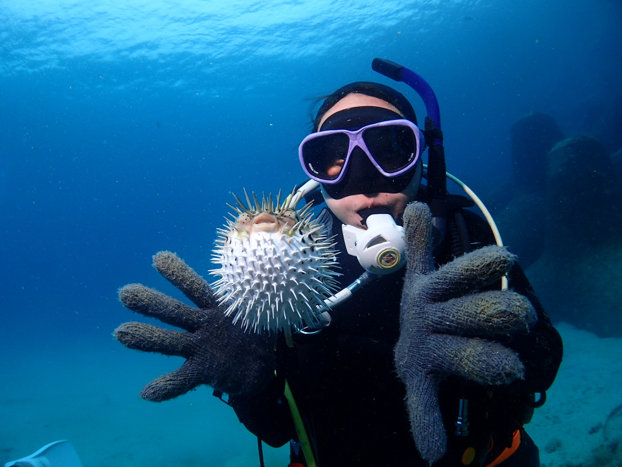 NAUI スペシャルティダイバーコース