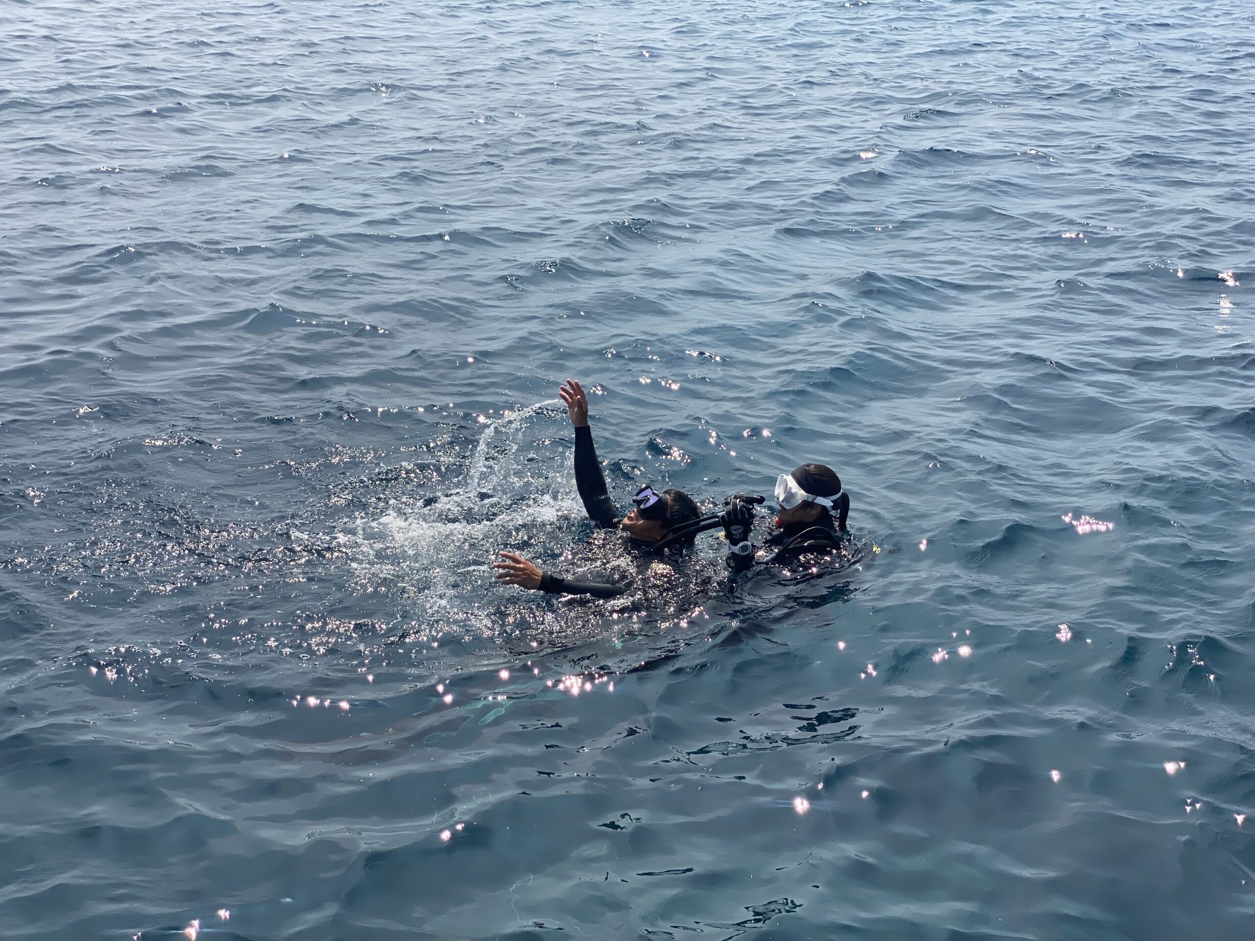 NAUI レスキューダイバーコース