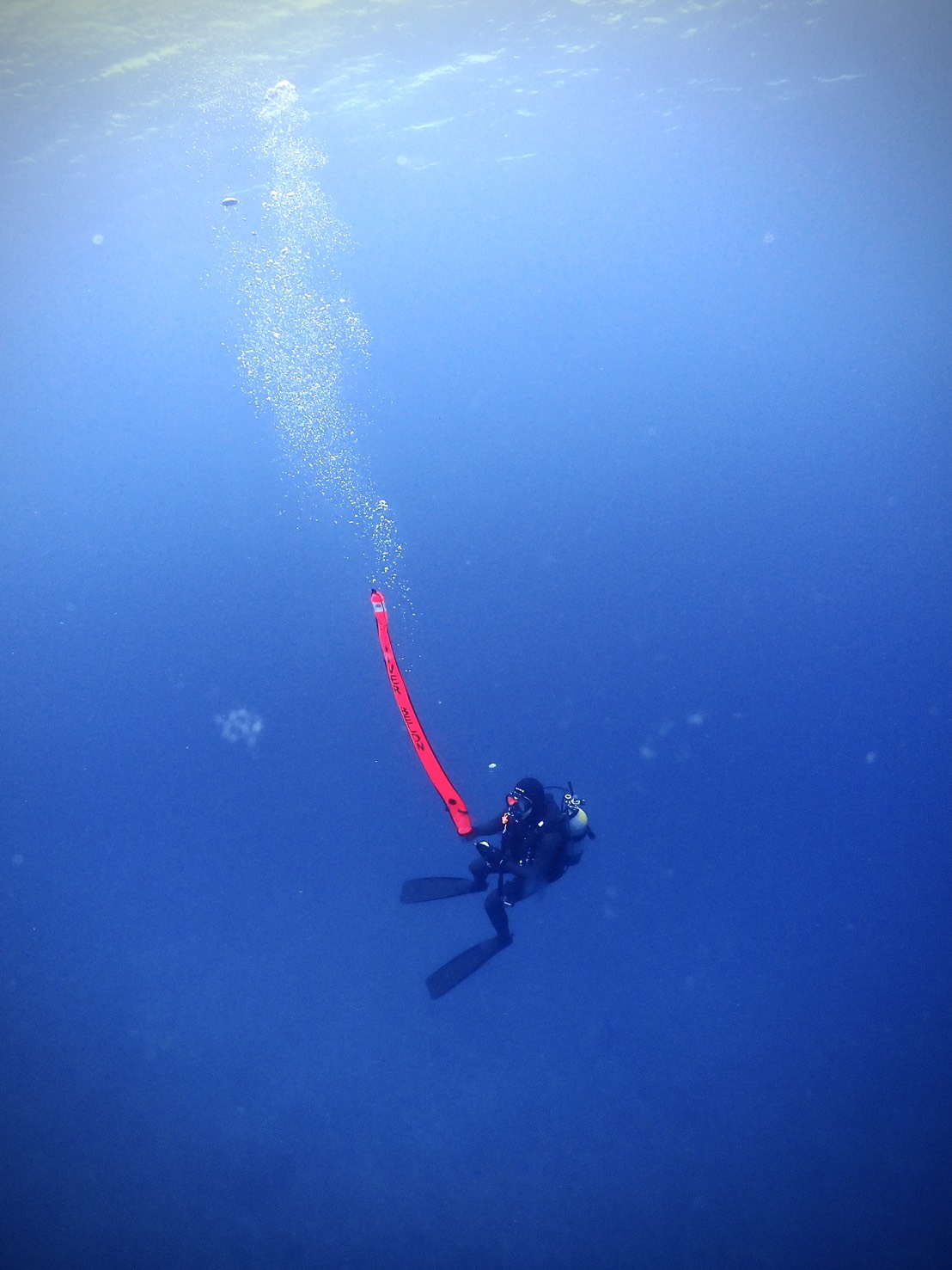 NAUI ダイブマスター